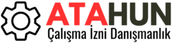 çalışma izni danışmanlık firması istanbul